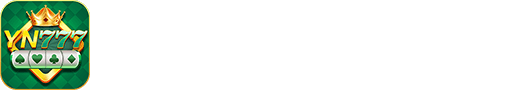 YN777 logo